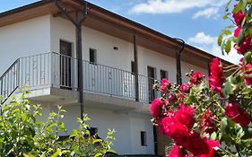 Vila Bloom