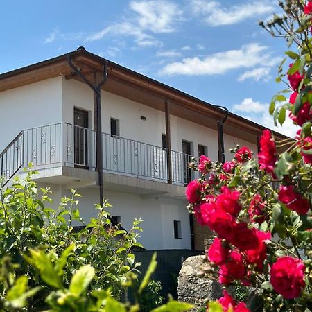 Vila Bloom Vama Veche Exterior foto