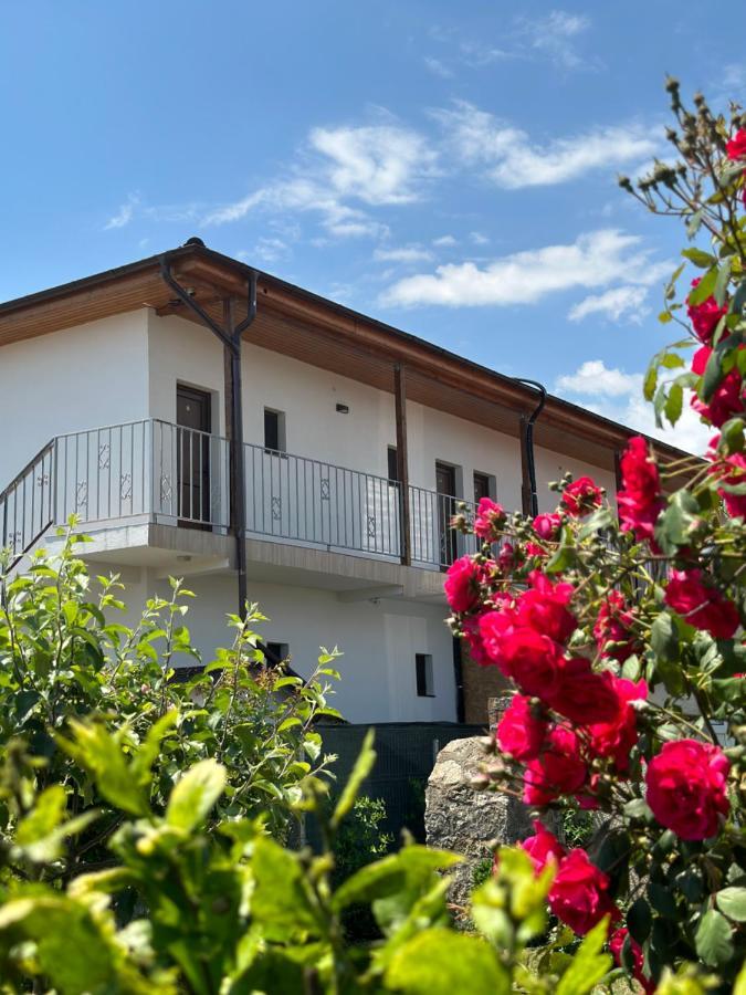 Vila Bloom Vama Veche Exterior foto